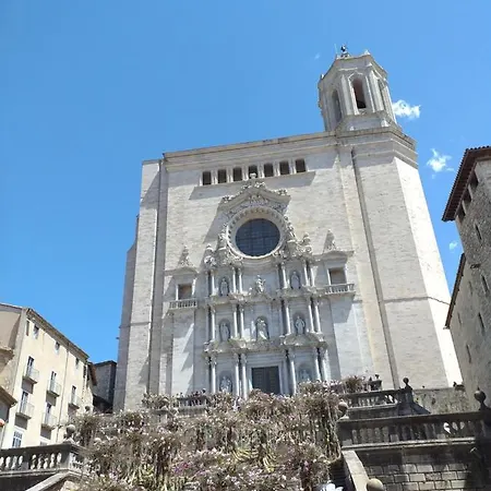 Centrico Y Acogedor * Girona